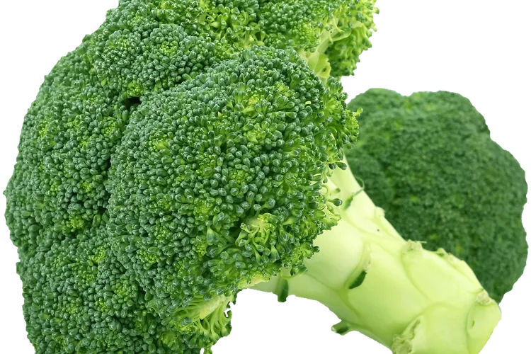 صورة للبروكلي وفوائده الصحية