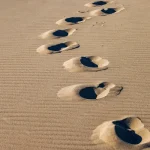 منظر طبيعي ساحر علي طول الساحل