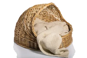كنب كلاسيك