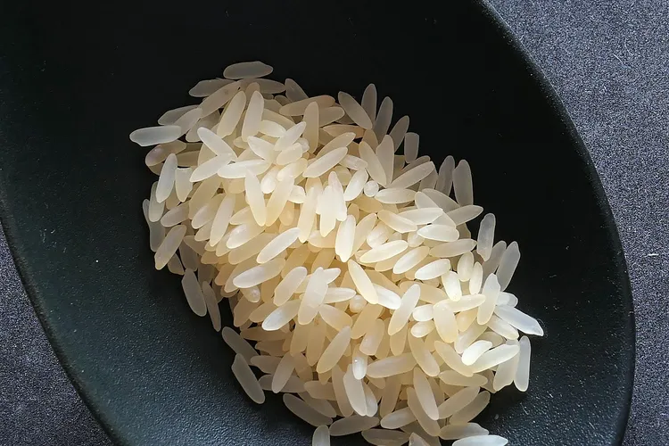 رز معمر