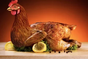 يخنة الدجاج