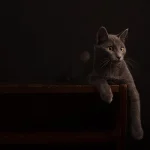 مطابخ خشب كلاسيكية