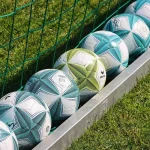 صورة للاعب زلاتان إبراهيموفيتش