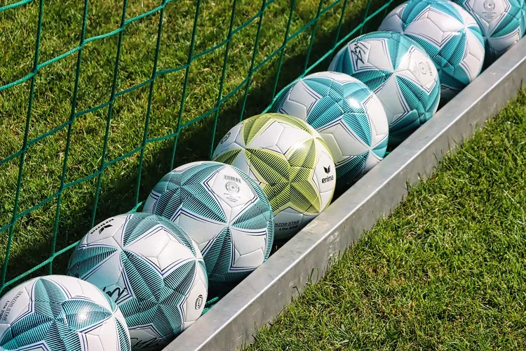 صورة للاعب زلاتان إبراهيموفيتش