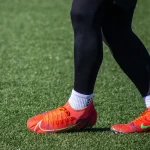 صورة للاعب فرناندو توريس