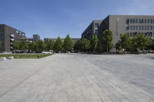 جامعة الملك خالد