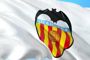 مدرب المنتخب الاسباني ديل بوسكي
