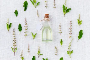 زيت الباتشولي العطري