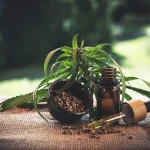 زيت الشبت وفوائده الصحية