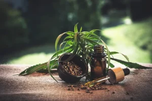 زيت الشبت وفوائده الصحية