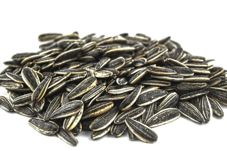 بذور عباد الشمس