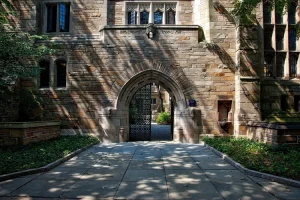 صورة لجامعة