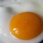 سردين مقلي