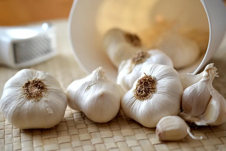 فائدة الثوم مع الزبادي