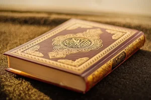 صورة للشيخ سلمان العودة