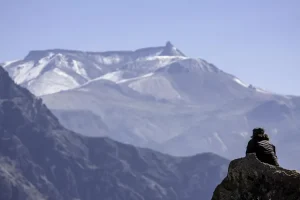 جبل غودوين أوستن أو جبل كي 2