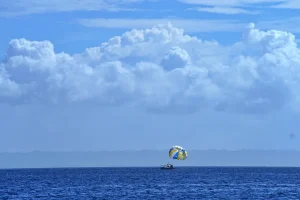 شواطئ غوا في الهند