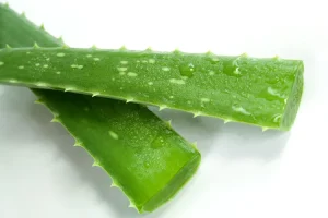 أغذية مفيدة لعلاج الإمساك