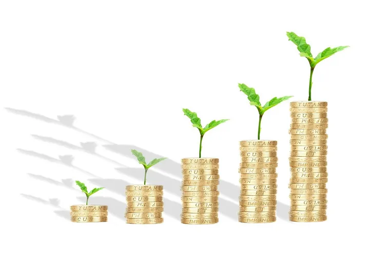 سعر الفائدة