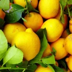 عصير البرقوق وفوائده الصحية