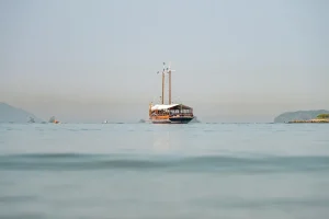 شواطئ البرازيل