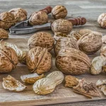 البروتين لسن المراهقة