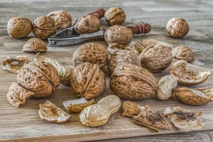 البروتين لسن المراهقة