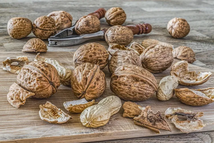البروتين لسن المراهقة