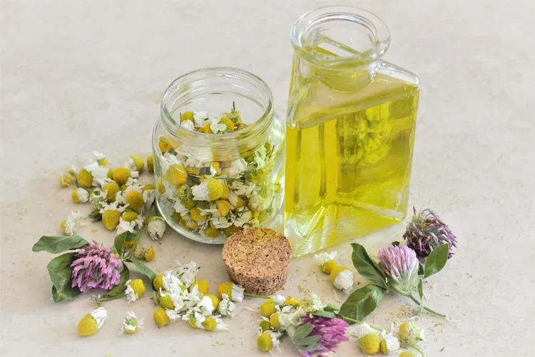 زيت البابونج وفوائده