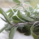عشب المريمية وفوائده الصحية