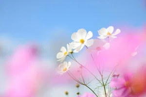 حدائق اليابان المشهورة