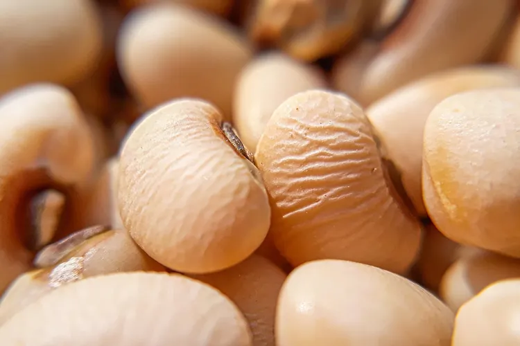 علاج نقص فيتامين دي d3