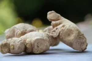 عشبة الاسبغول وفوائدها الصحية