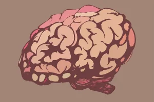 تخصص علم النفس