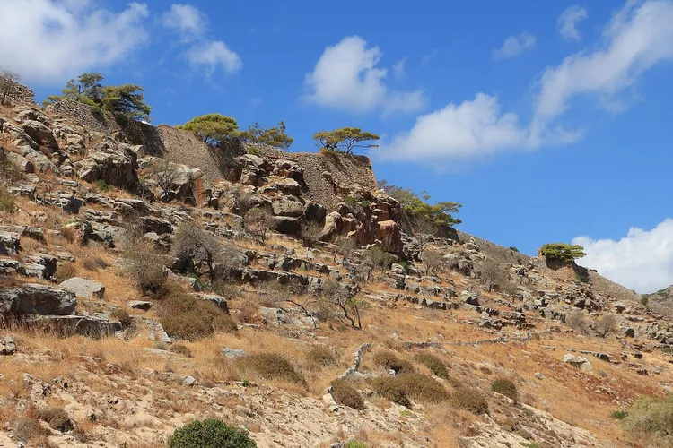 صورة توضح مرض الجذام