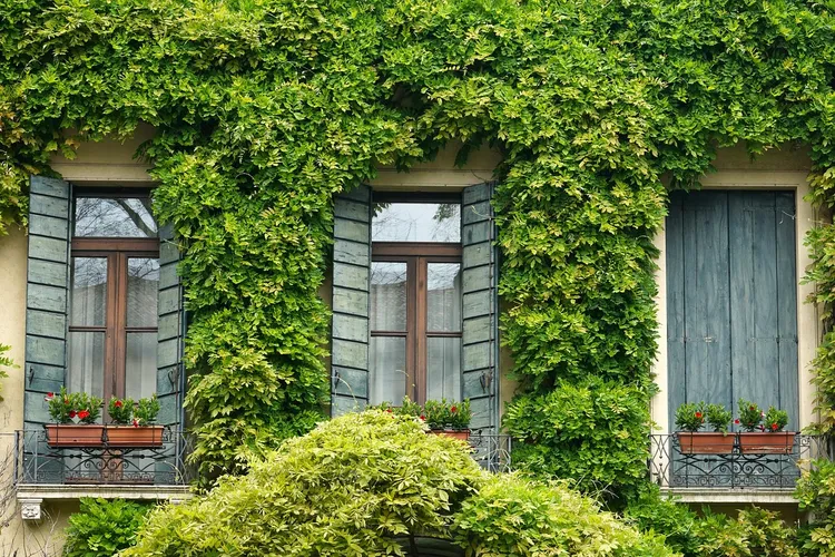 NIIMI BUILDING IN JAPAN