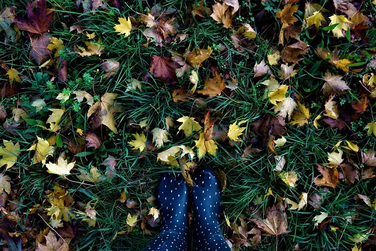 Sophia Webster summer shoes