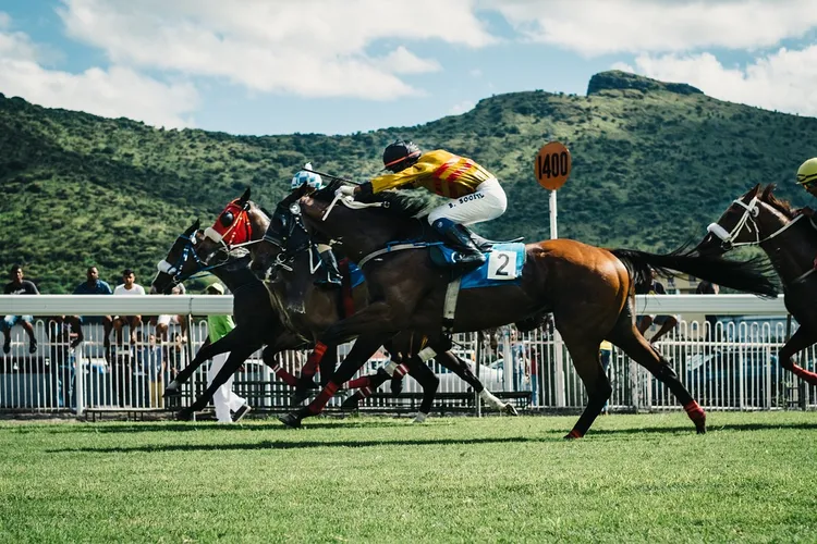 تشامبيون جوكي champion jockey g1 : G1