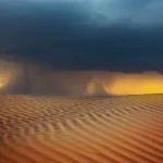 حرب الخليج الثانية