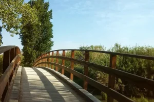 رواد أعمال التكنولوجيا
