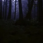 سيارة تحت ضوء القمر