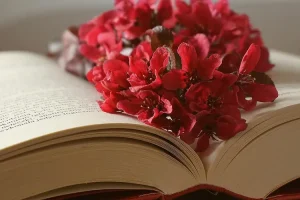 كتب وروايات طه حسين