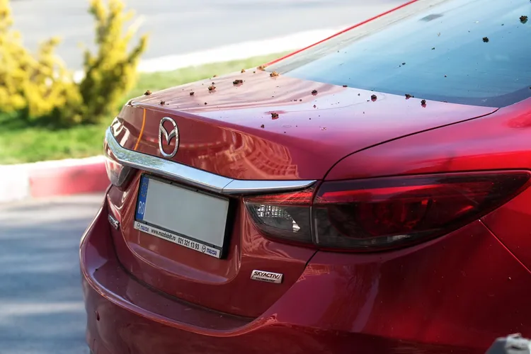 مازدا CX-5 2016 الحمراء