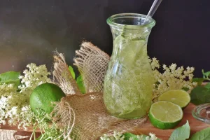 زيت حبة البركة وفوائده الصحية