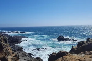 صورة للخليفة الأموي عمر بن عبدالعزيز