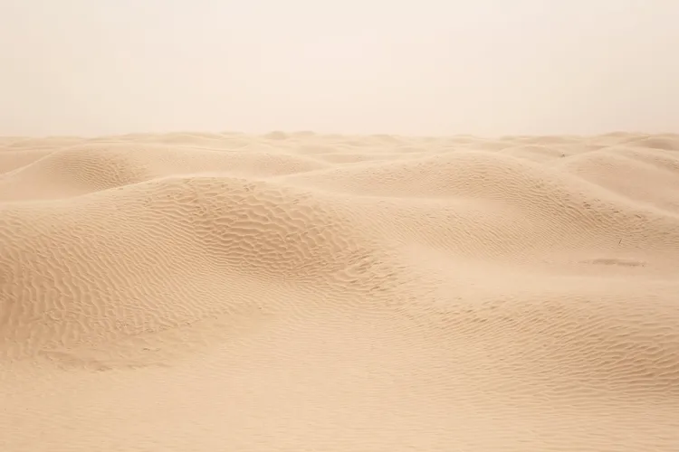 صحراء الرمال البيضاء ذات الاسماك