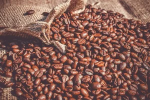 مهرجان القهوة تحت الأرض