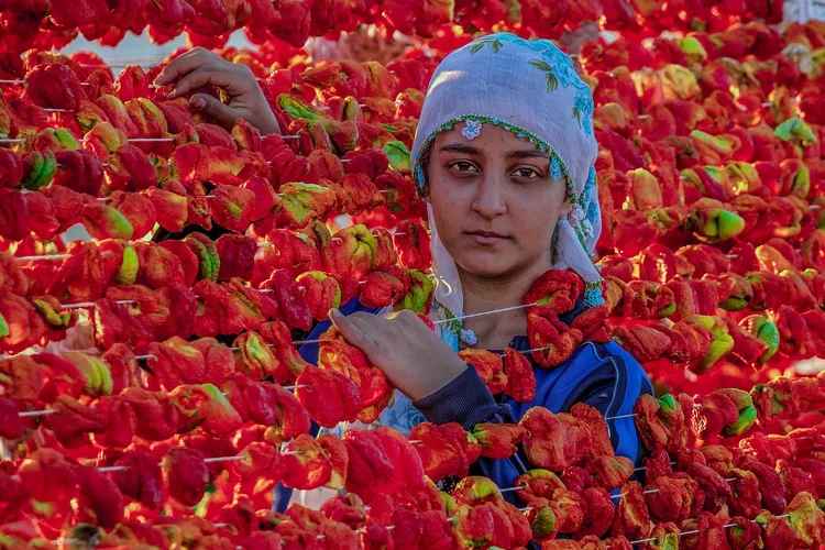 أصغر مليونير في سنغافورة
