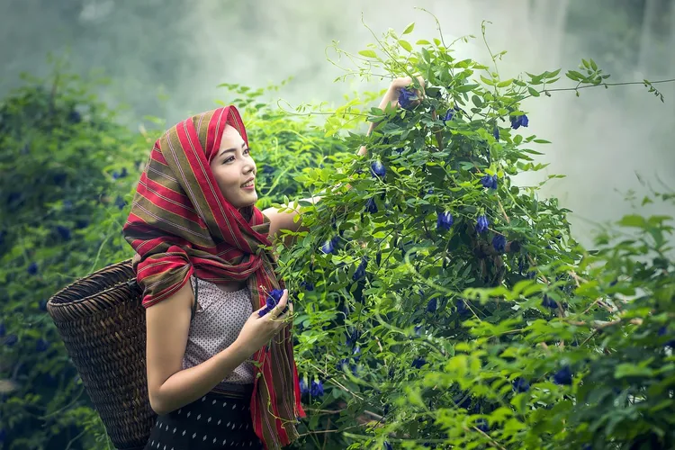 جامعة السلطان قابوس