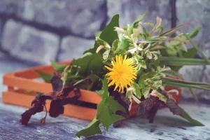 زيت الكمون وفوائده الصحية